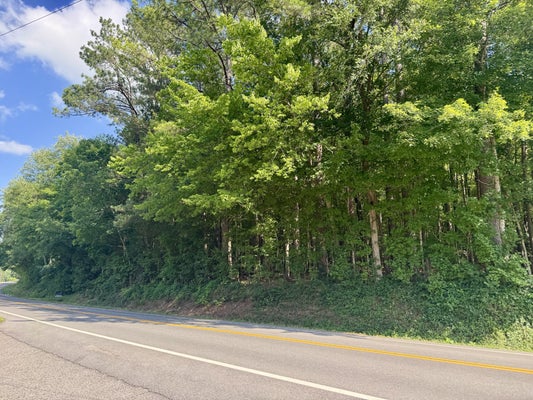 STATE RTE 147, STEWART, TN 37175 - Image 37fb33748990ea4d2c9f56cde8bfaa8a/936627880