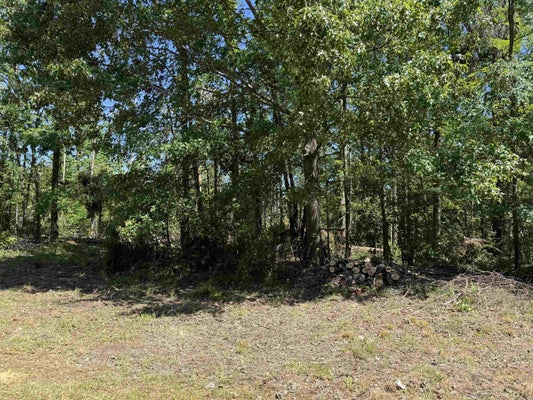 CLEMENT DR, SAVANNAH, TN 38372 - Image 37fe2bdf287981b36e8dcdb15b2377d5/3693060651