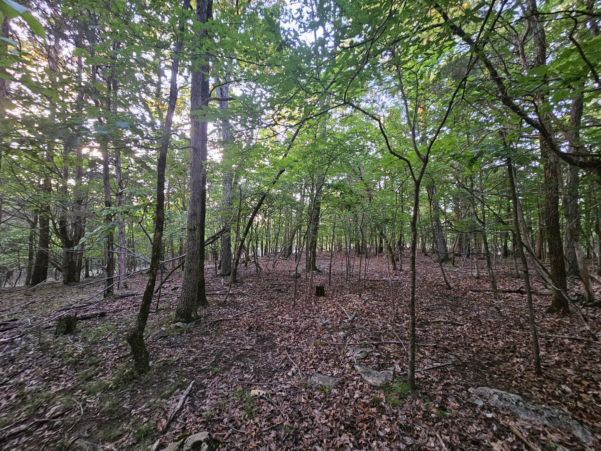 3 Sewanee Summit Road