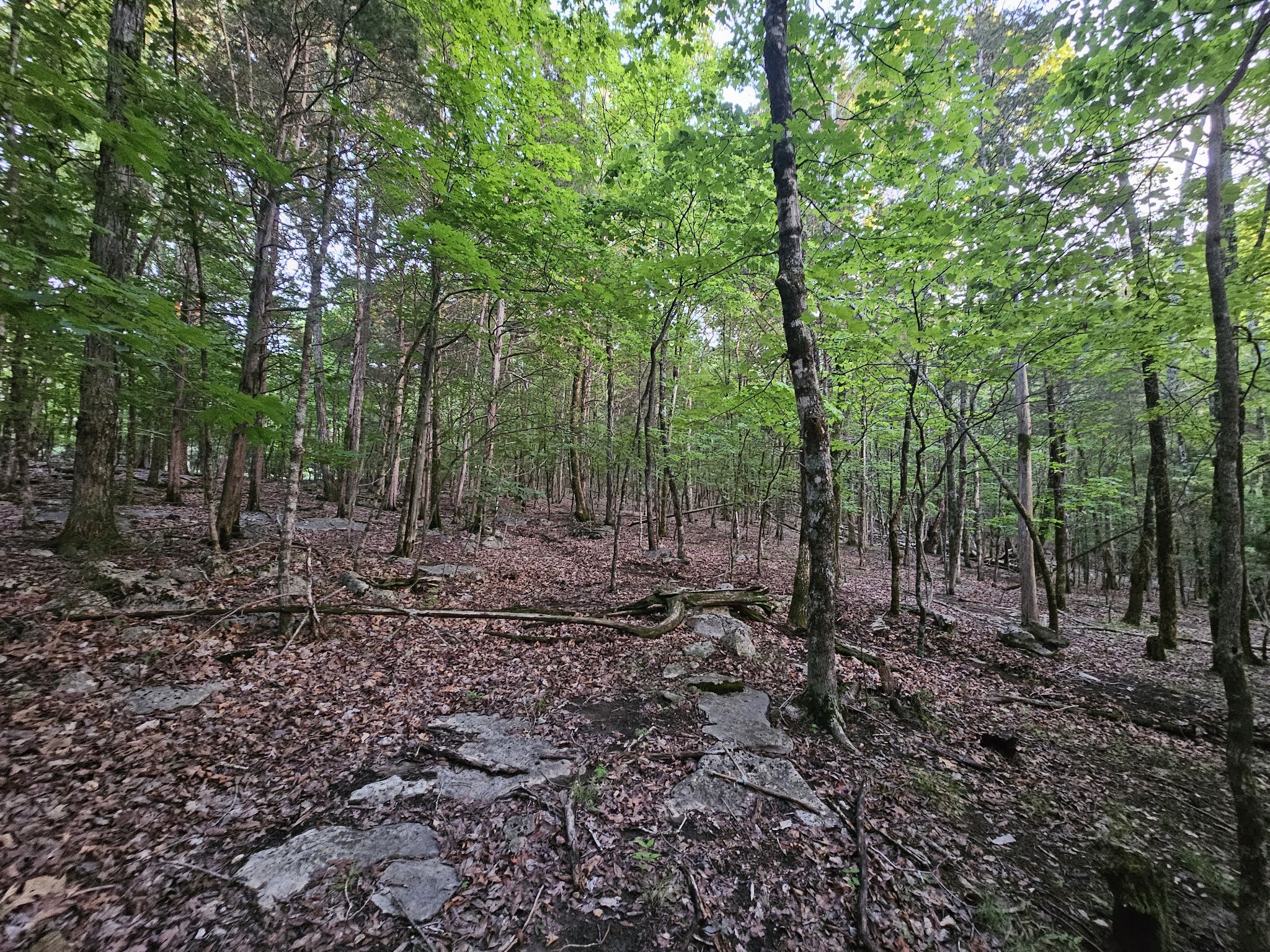 3 Sewanee Summit Road