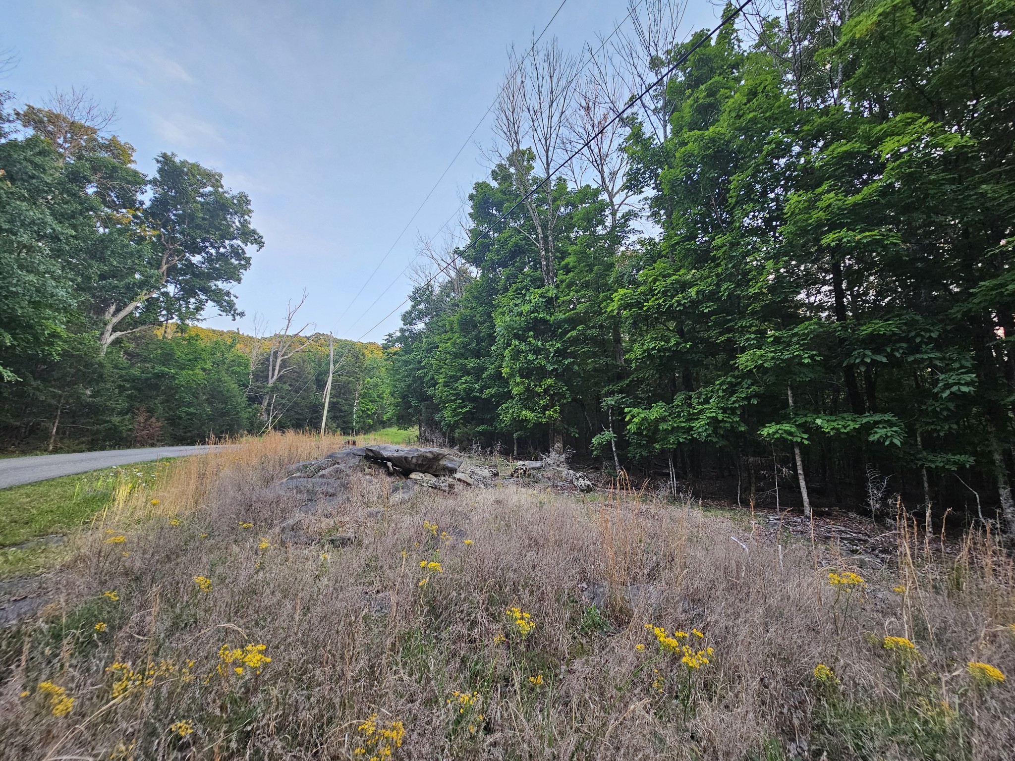 3 Sewanee Summit Road