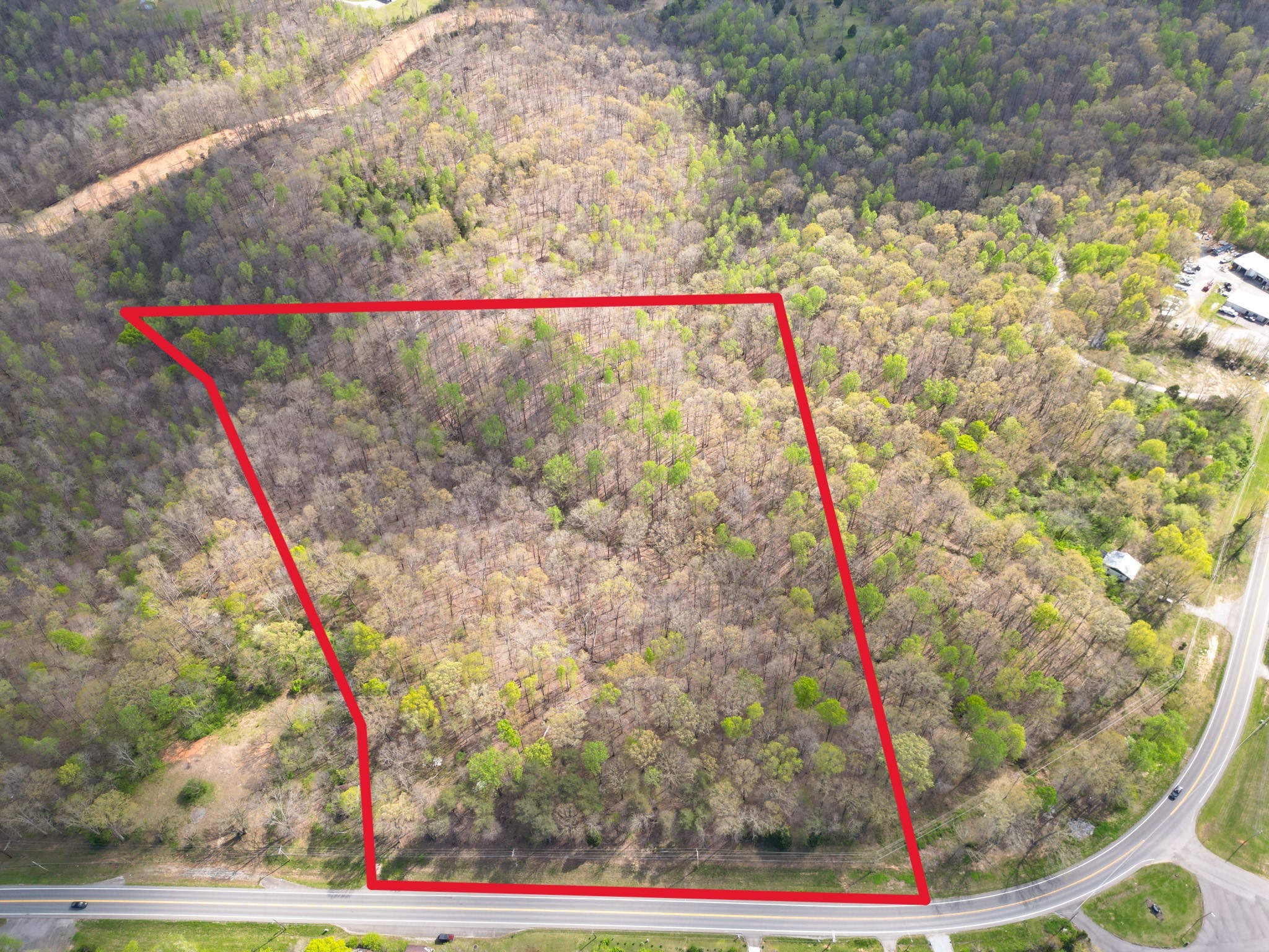 Listing image 1