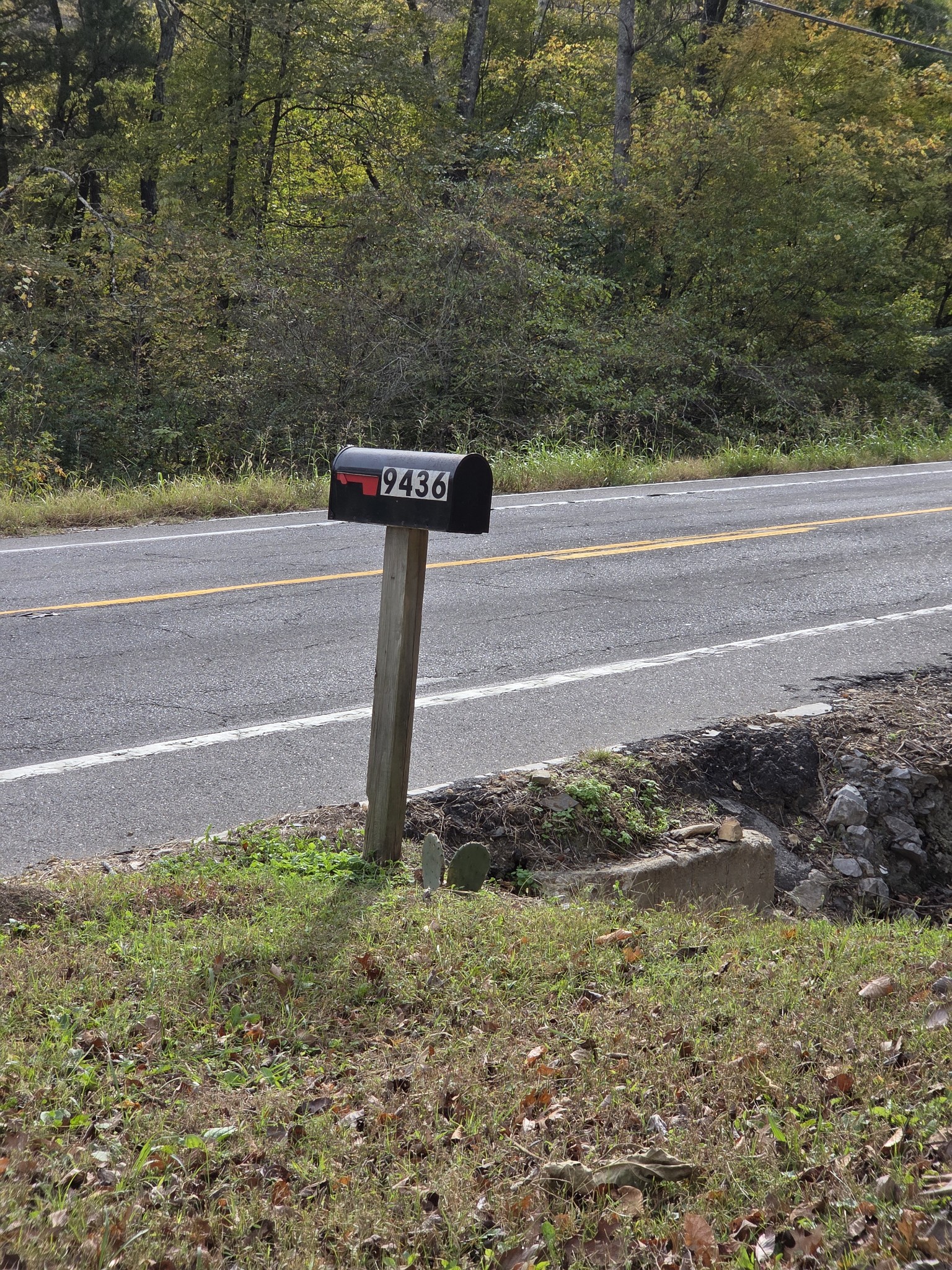 9436 Highway 100