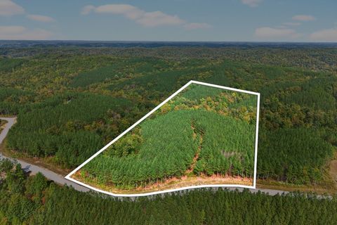 210 Ridgewood Dr Linden TN 37096