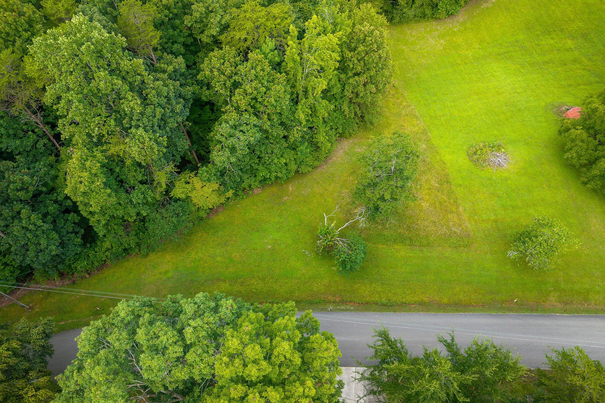 1149 Camp Overton Rd