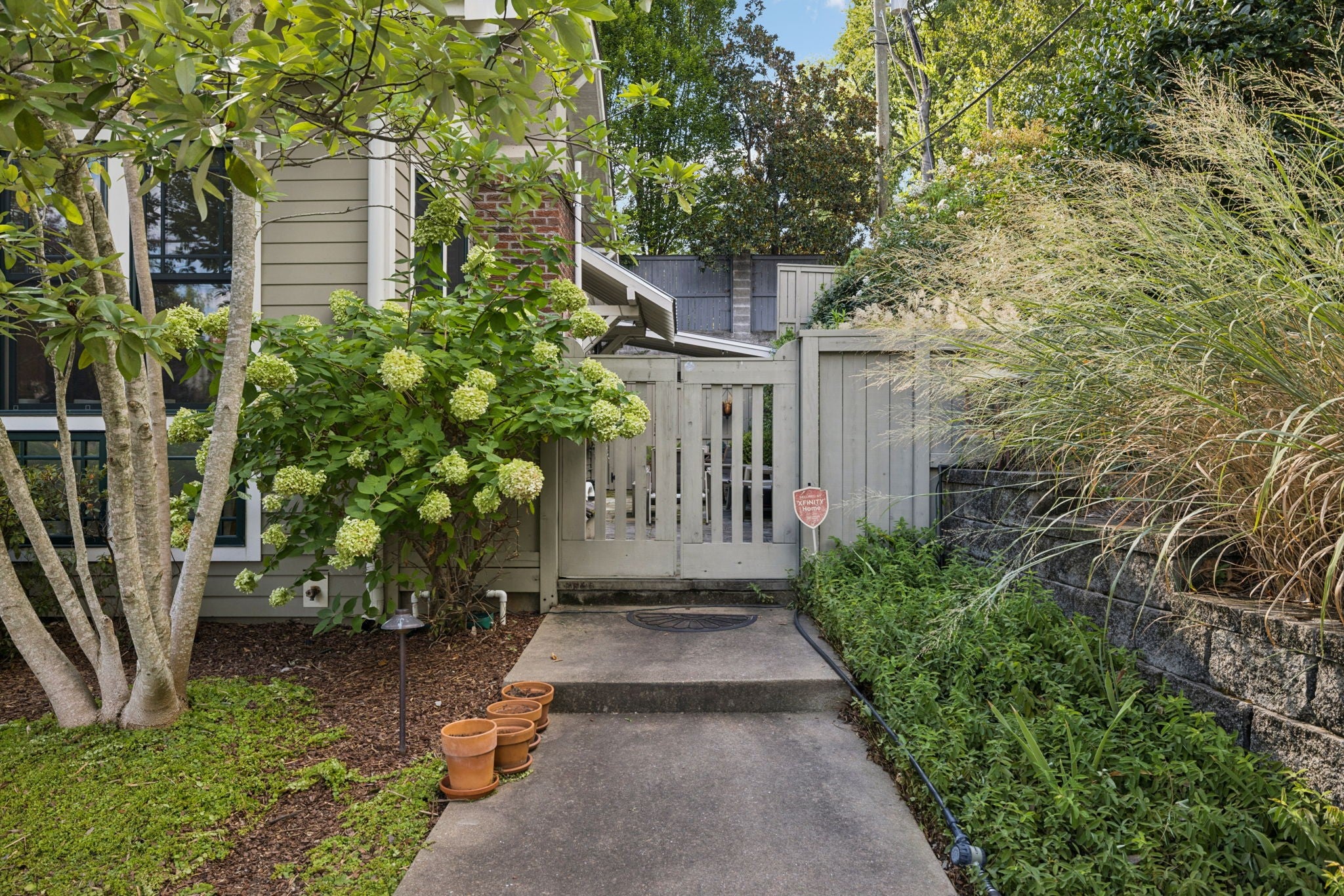 Gated side walkway with a white wood gate, potted plants and a hydrangea beside the house