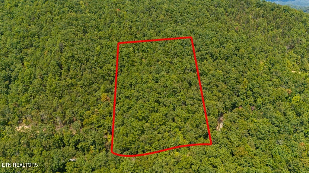 4143 Lumber Jack Way