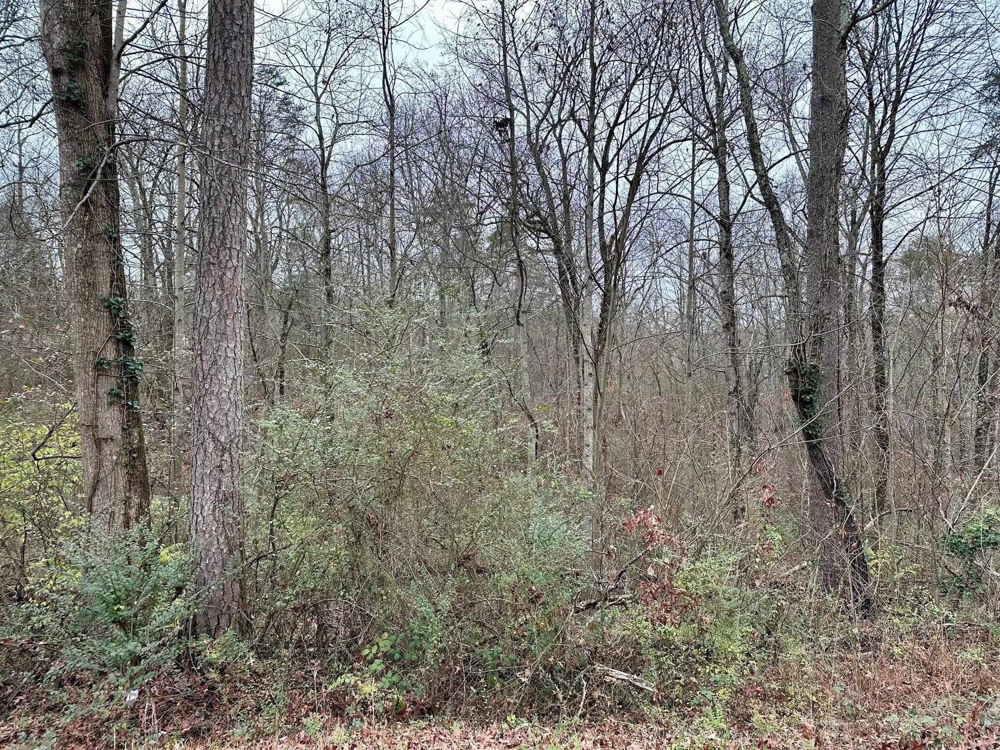 310 Brumlow Hollow Road