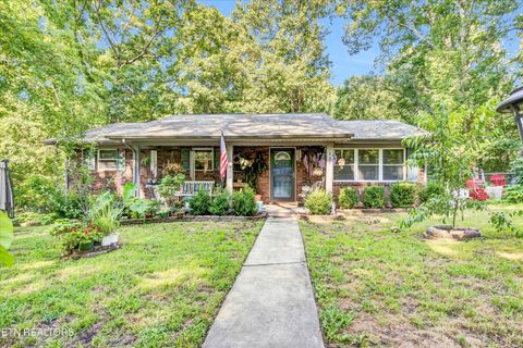 221 White Oak Lane Heiskell TN 37754