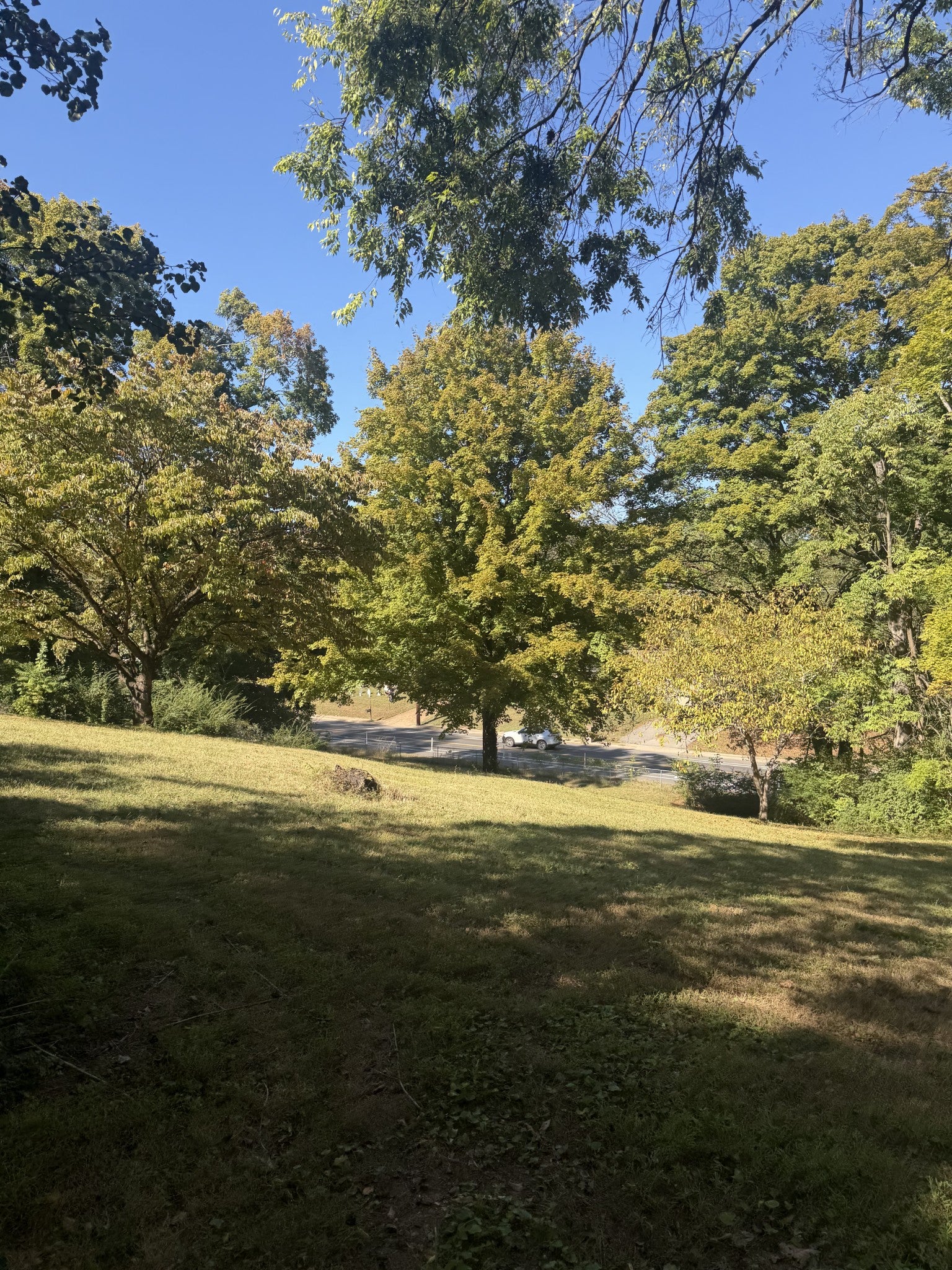 265 Old Tusculum Rd