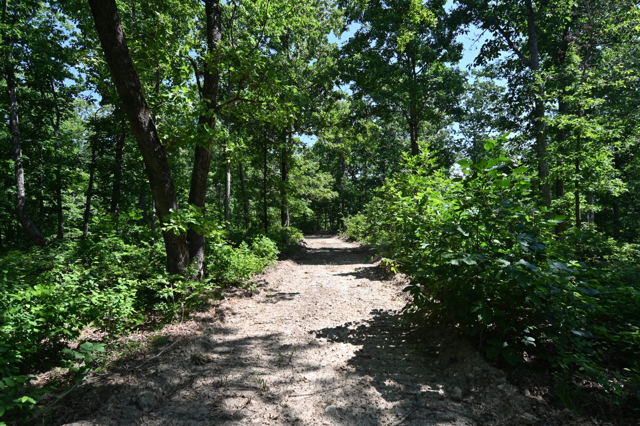 0 Bear Creek Rd