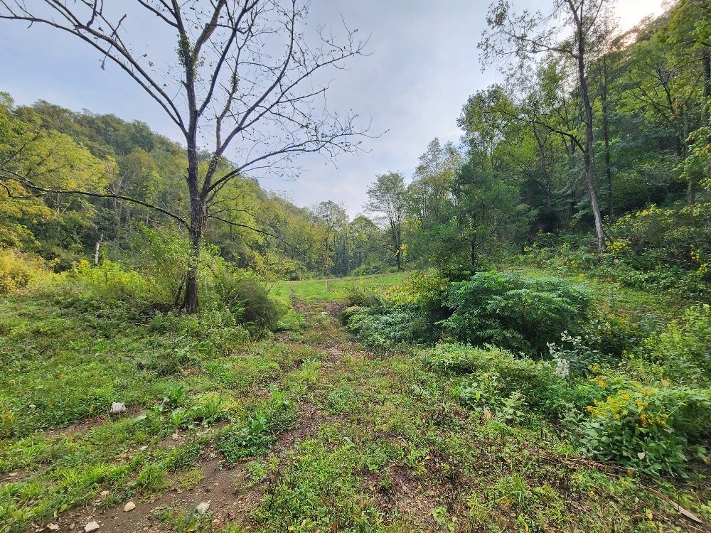 0 Webster Branch Ln