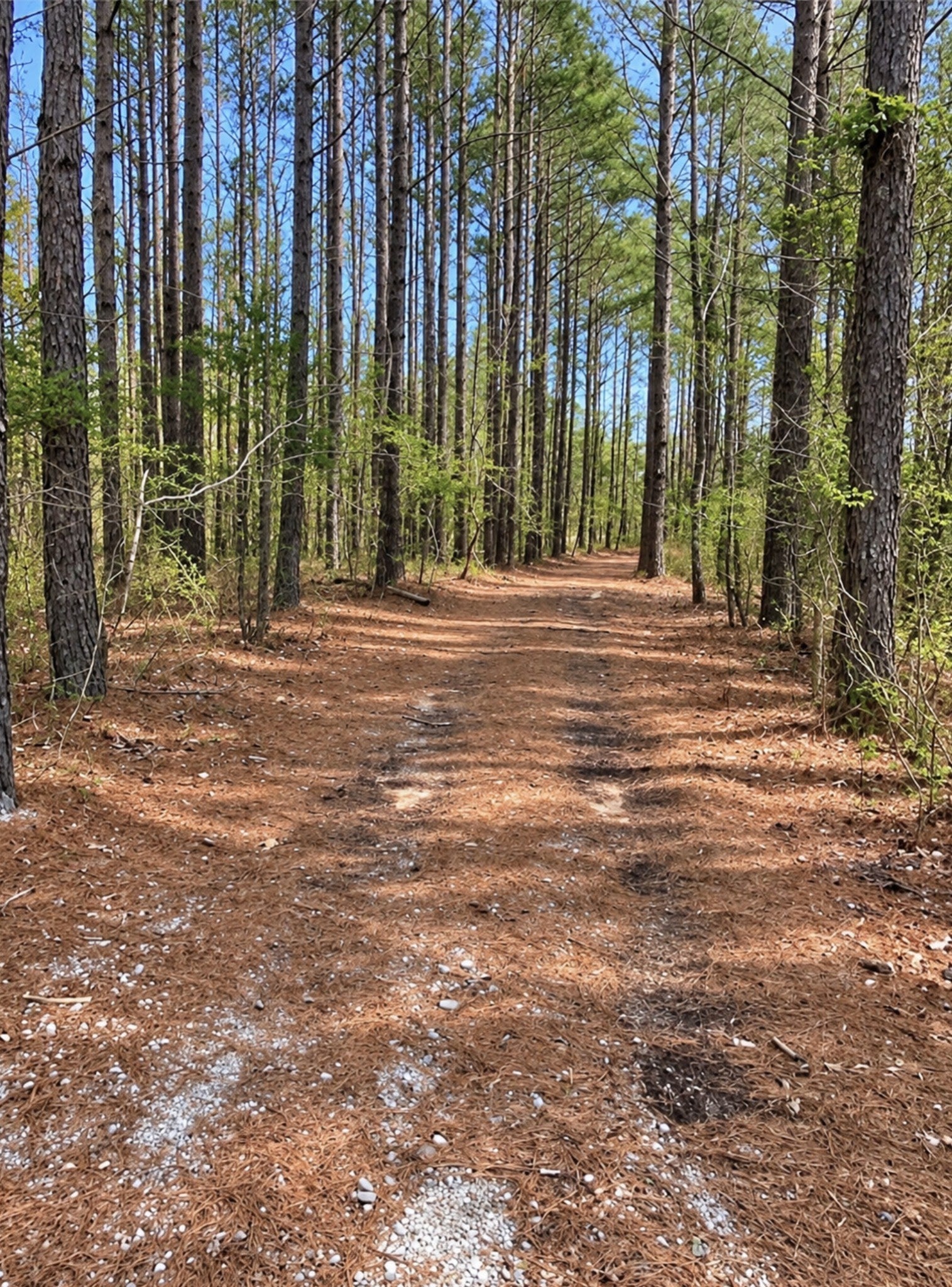 18 Allen Bend Rd