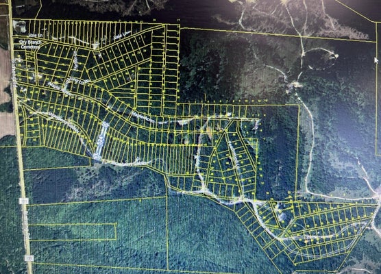 DRY BRANCH RD, HOLLADAY, TN 38341 - Image 38cd5e4938f8a1a64344264aecb010fa/1049543398