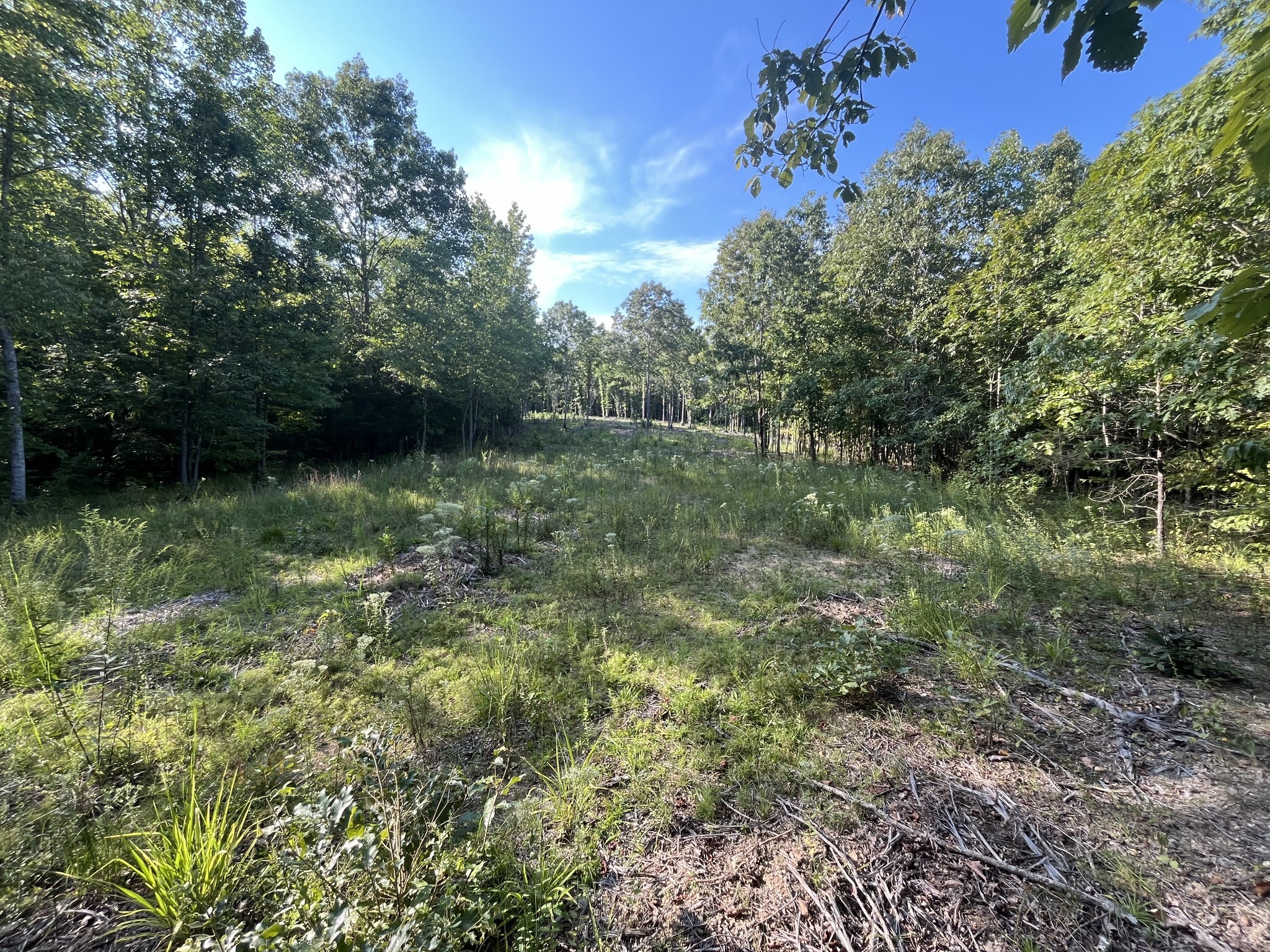481 Hillbrook Dr