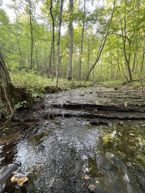 481 Hillbrook Dr Linden TN 37096