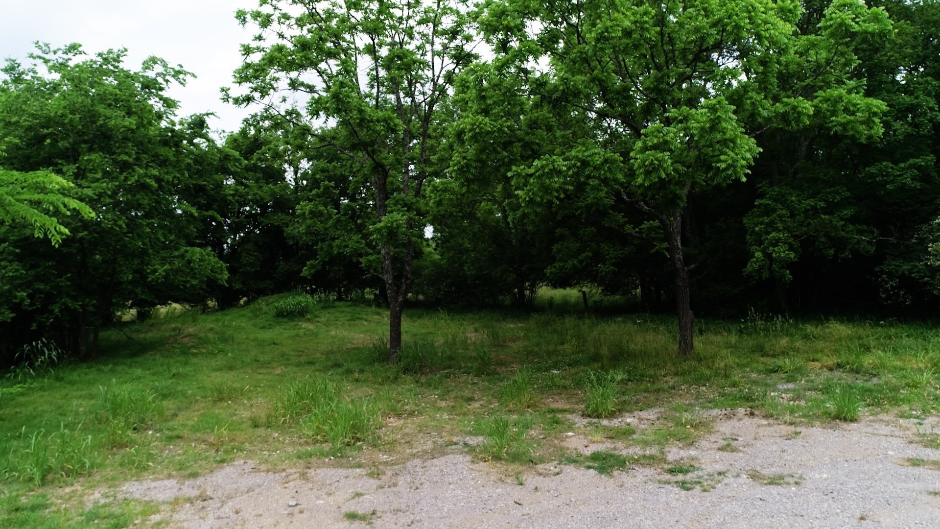 Middle Tennessee Properties 1 10615 Lebanon Rd