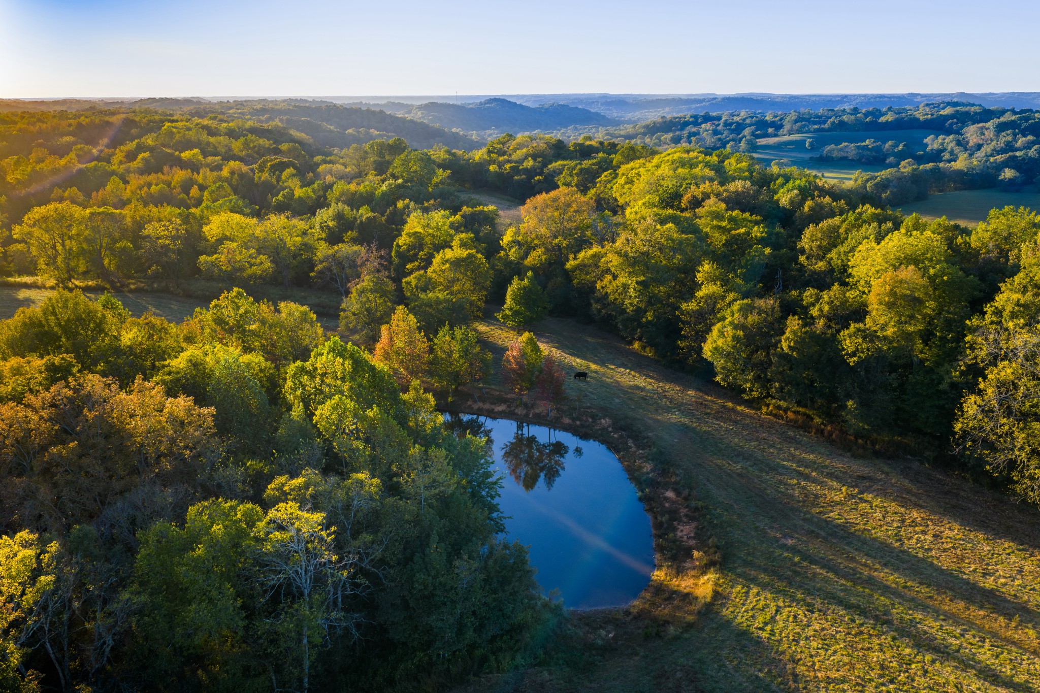 3345 Pigeon Roost Rd