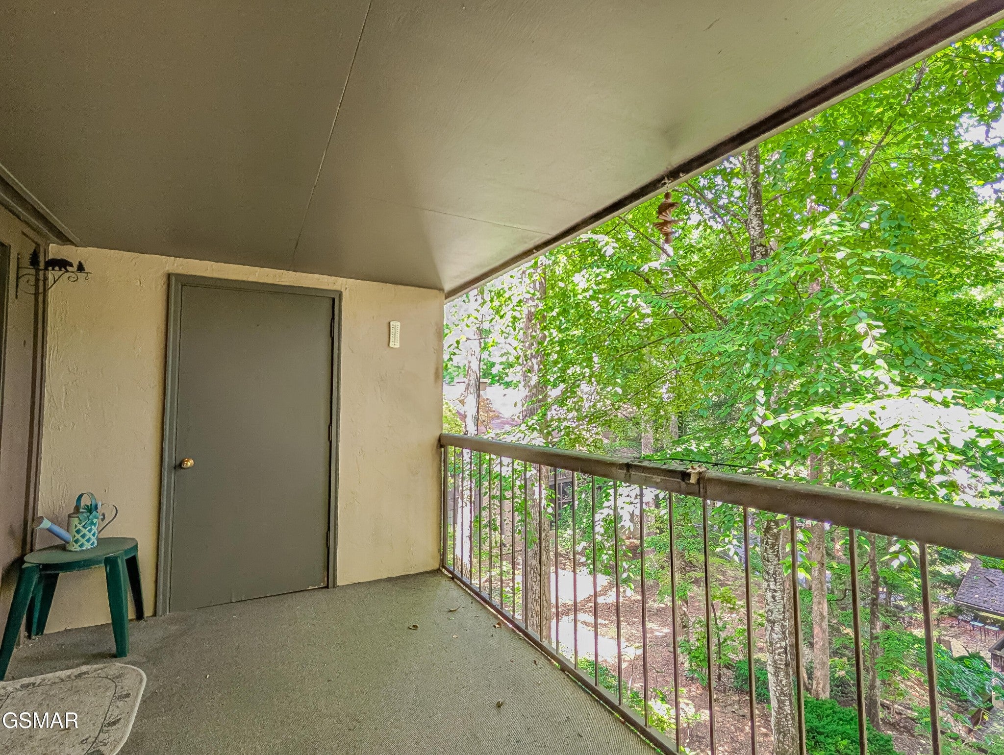 1235 Ski Mountain Road 610