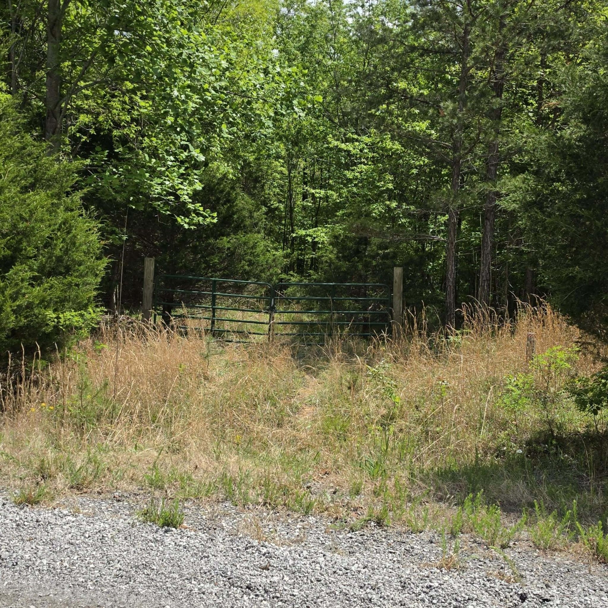 15 Cluck Cove Road