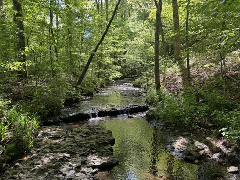 283 Dyestone Springs Road Hohenwald TN 38462