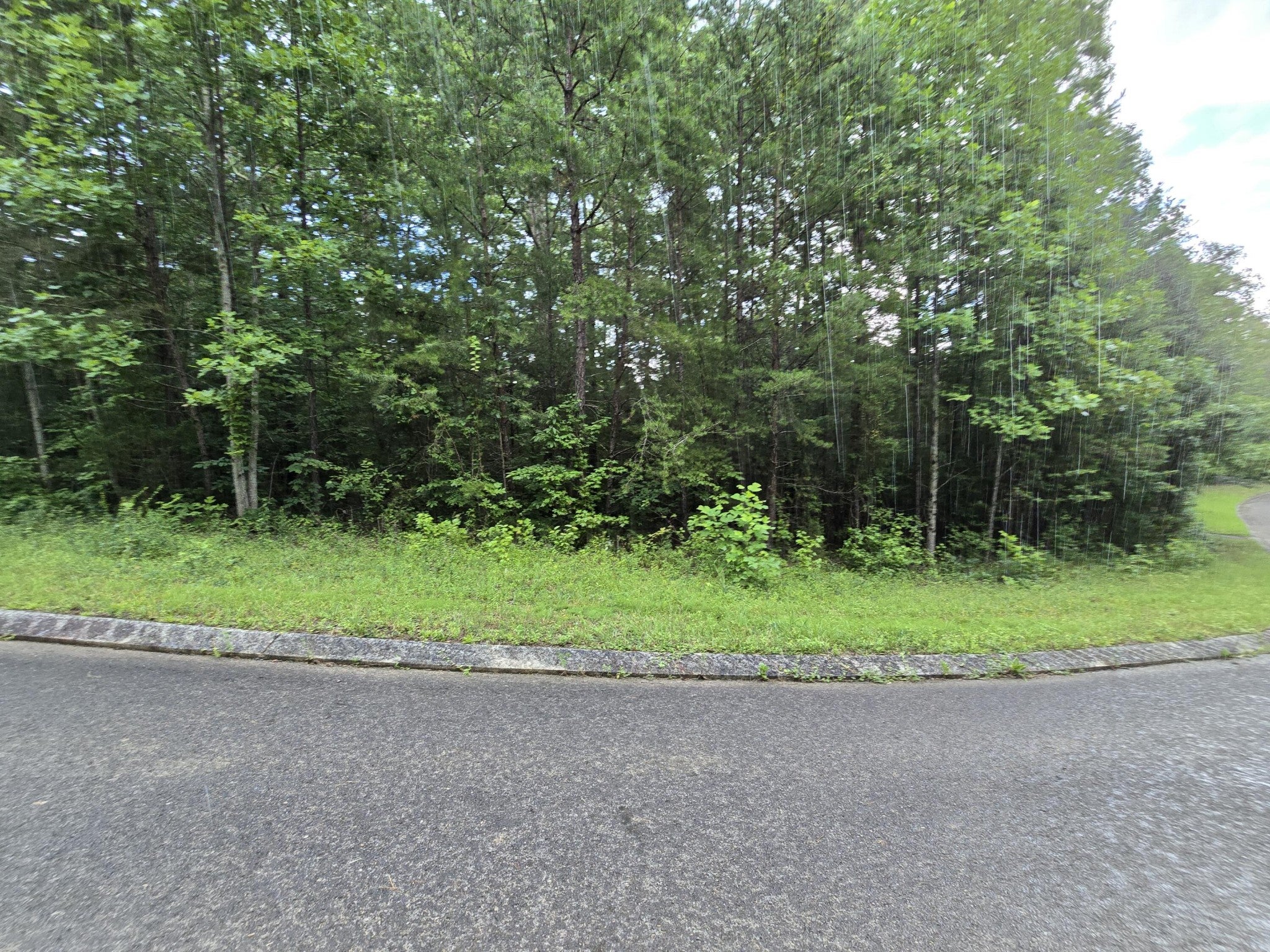 156 Lower Brow Road