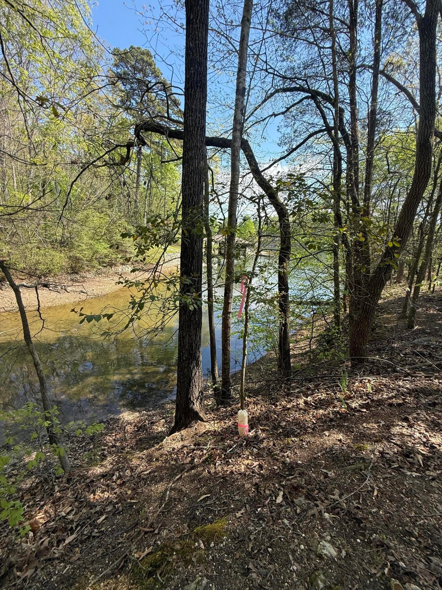 23 Phillips Drive