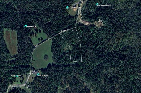 0 Union Ridge Rd Wartrace TN 37183