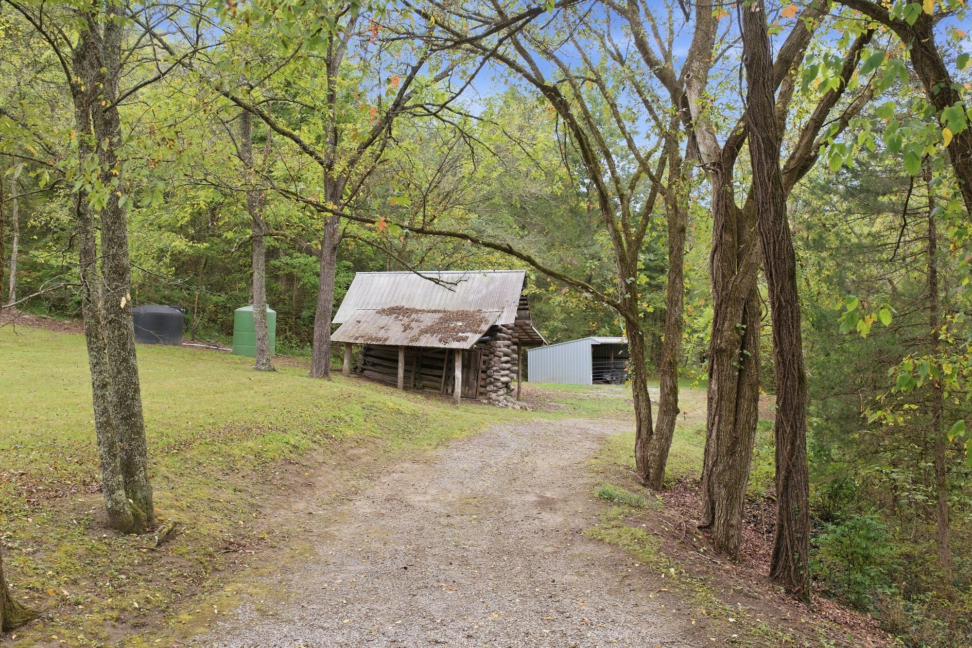 1967 Wilson Hollow Rd