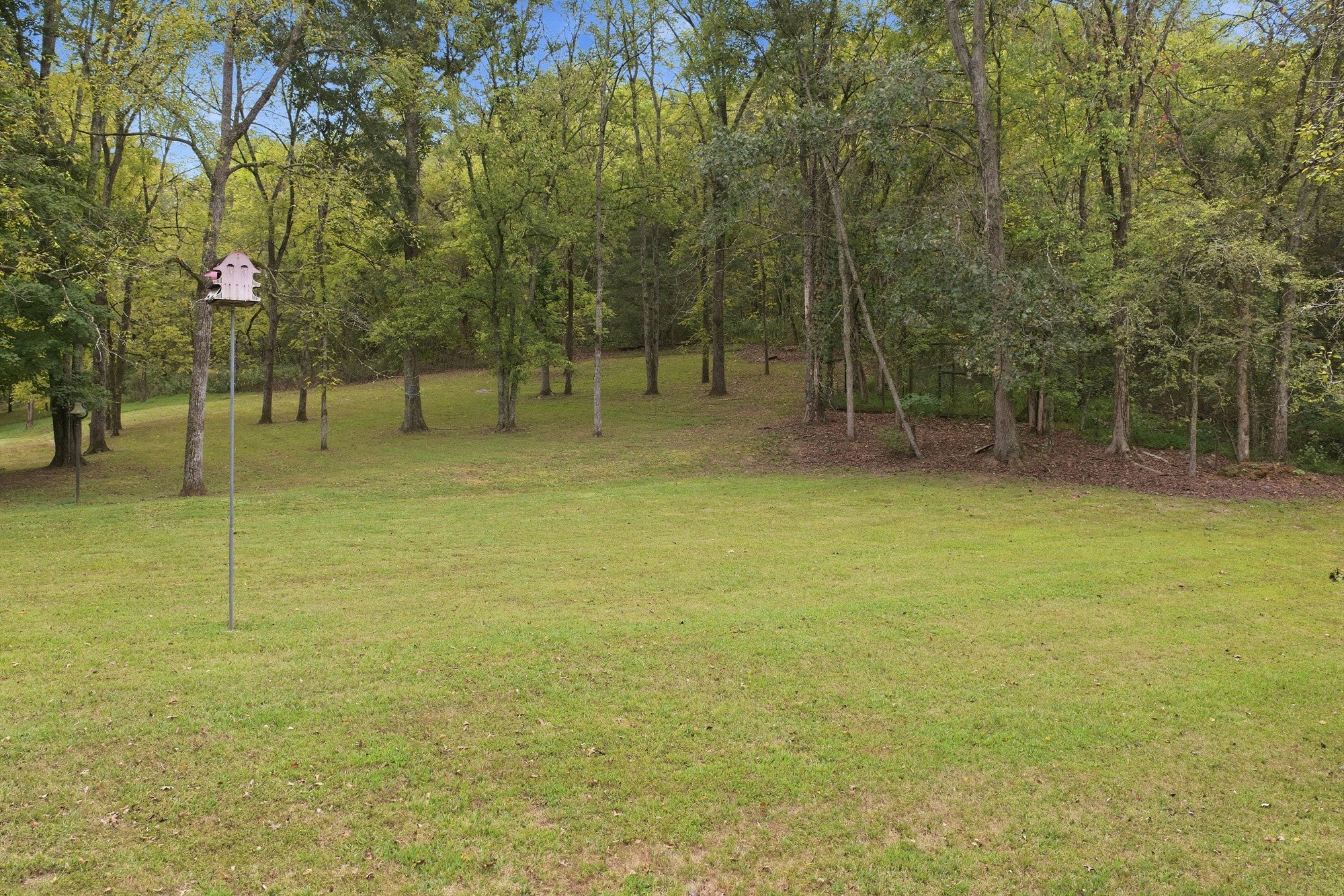 1967 Wilson Hollow Rd