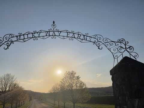 381 Milky Way Dr Pulaski TN 38478