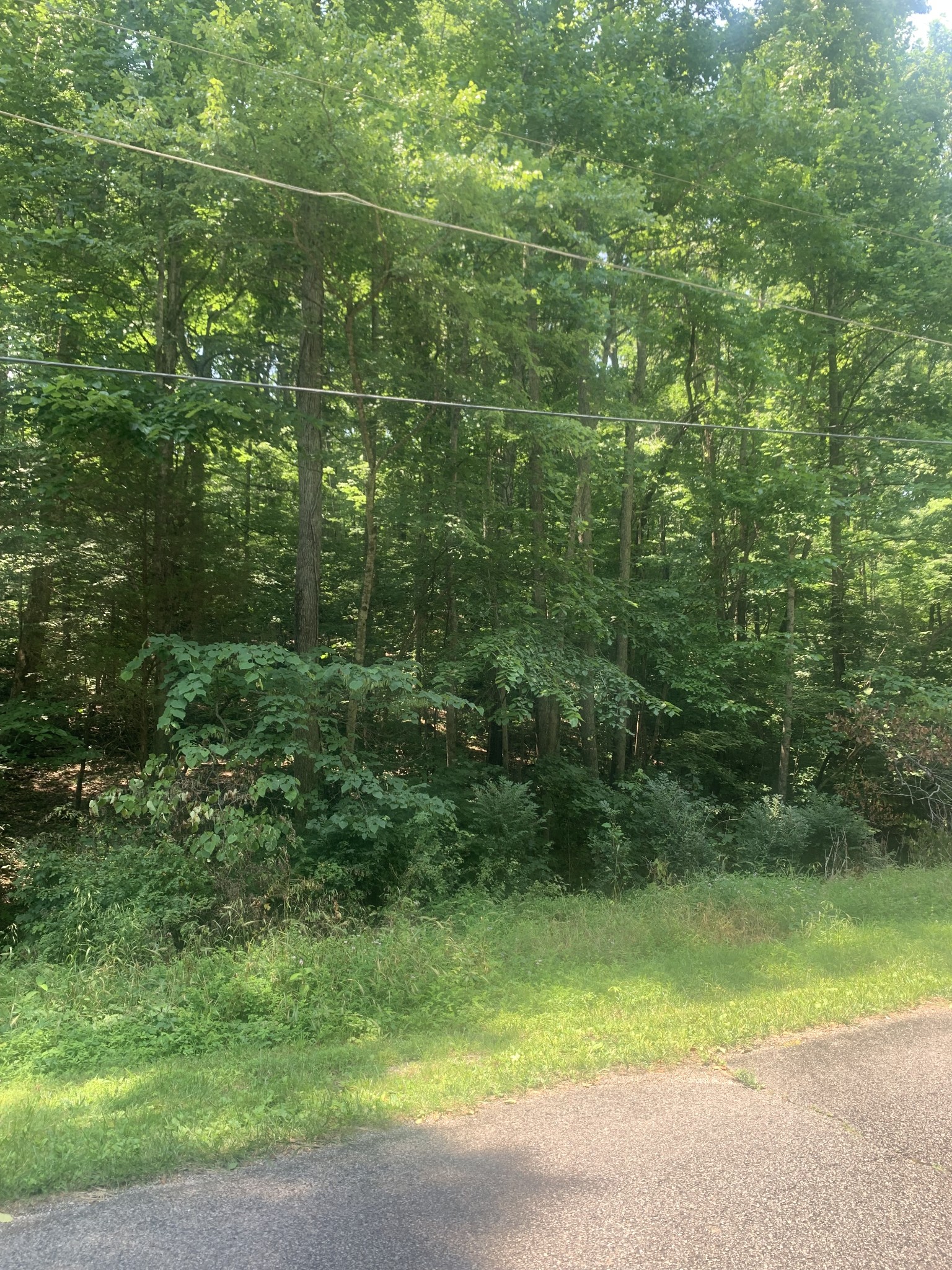 5 Dogwood Ct