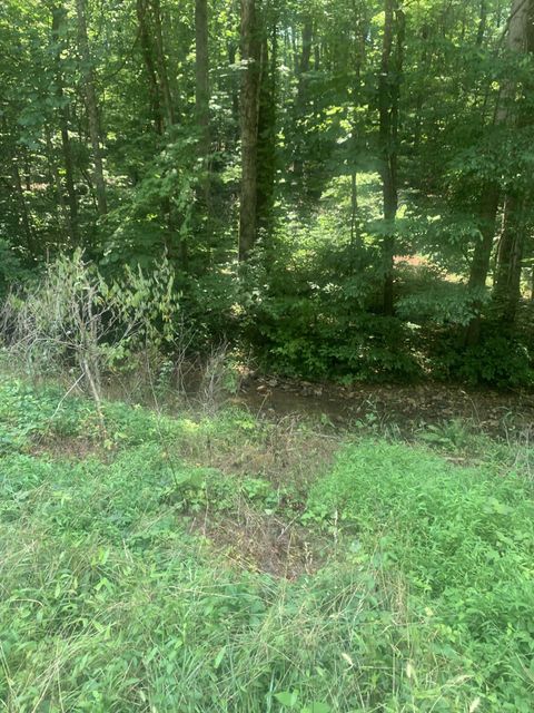5 Dogwood Ct Dickson TN 37055