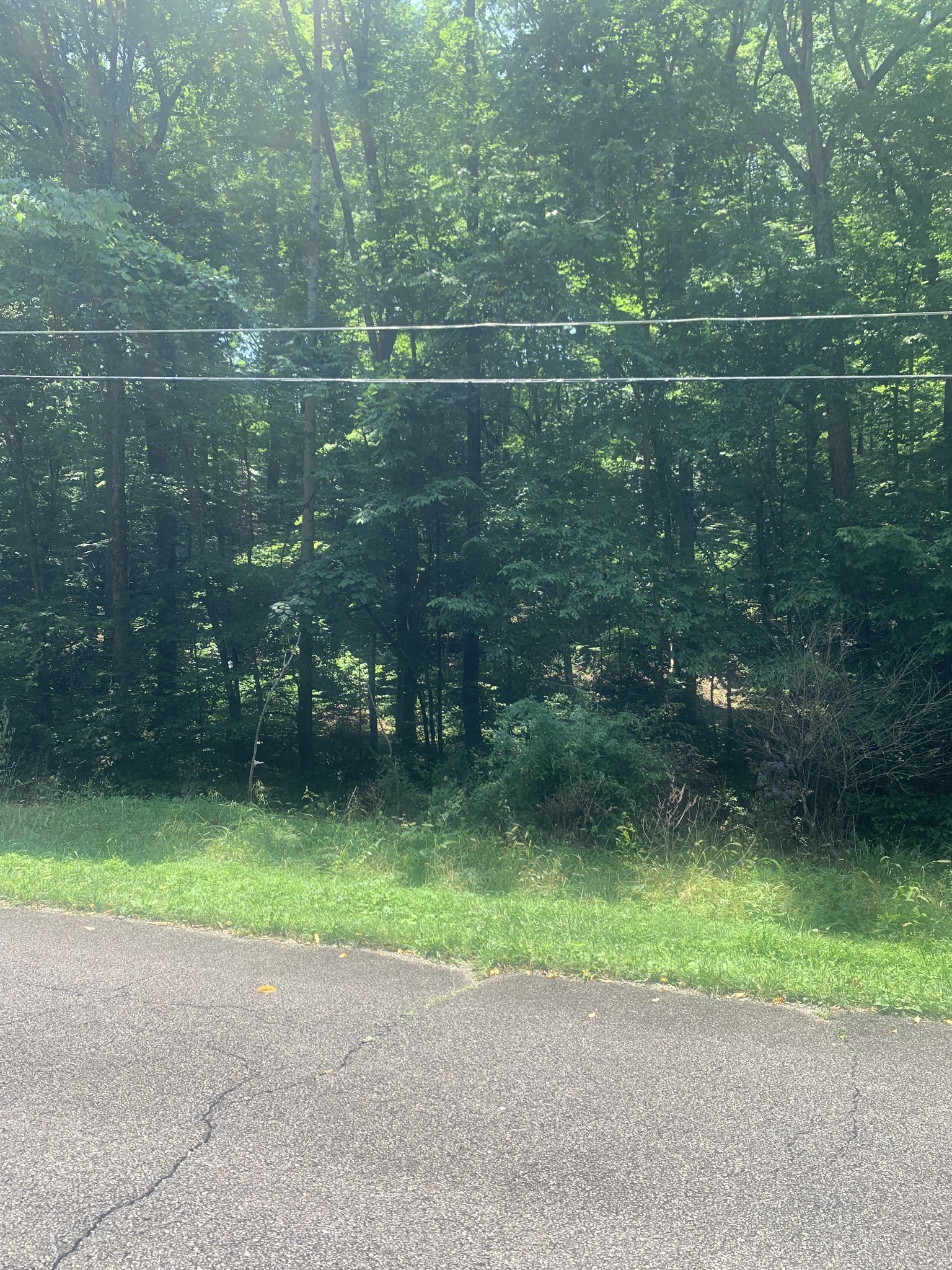 5 Dogwood Ct