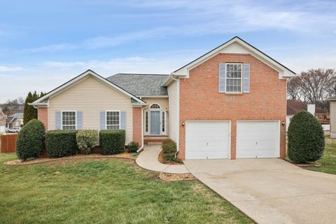 2925 Wills Ct Spring Hill TN 37174