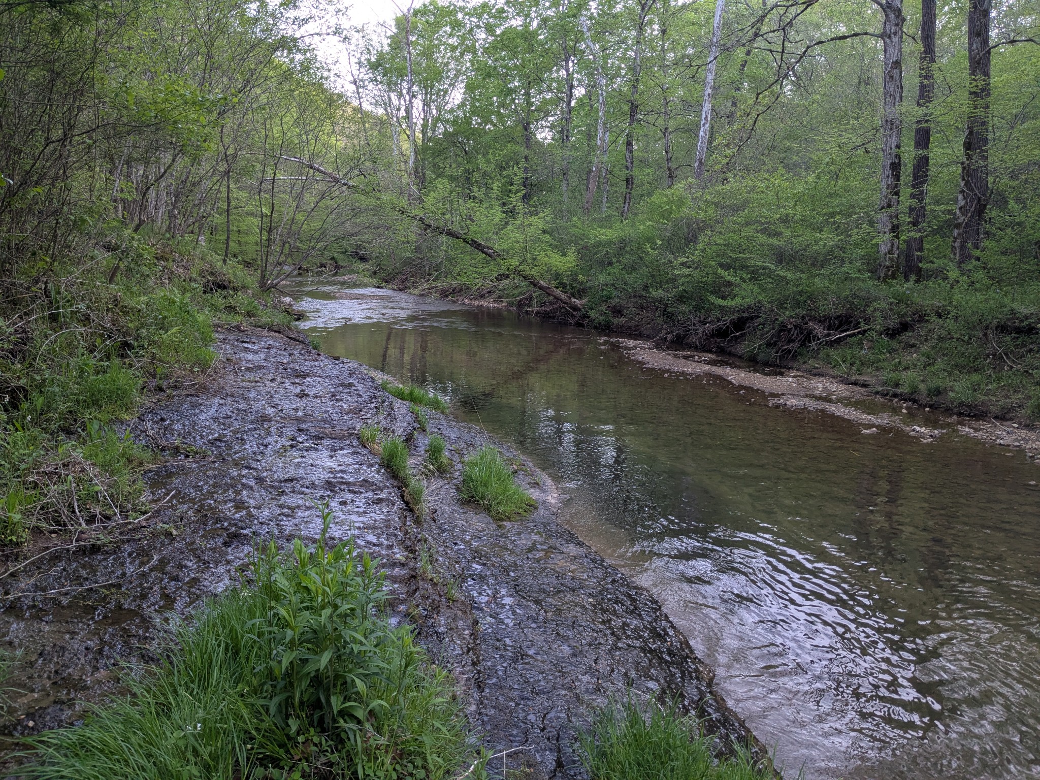 319 N Chisholm Creek Rd