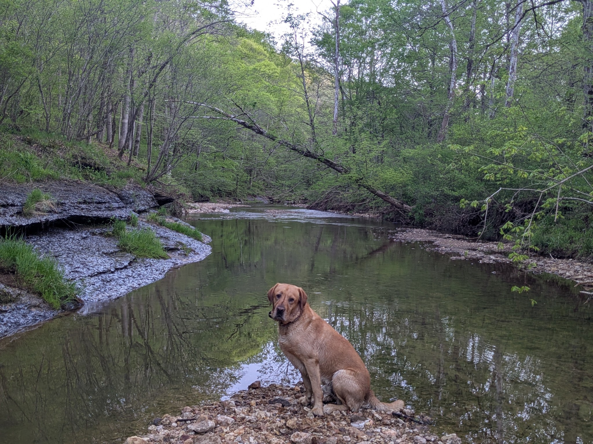 319 N Chisholm Creek Rd