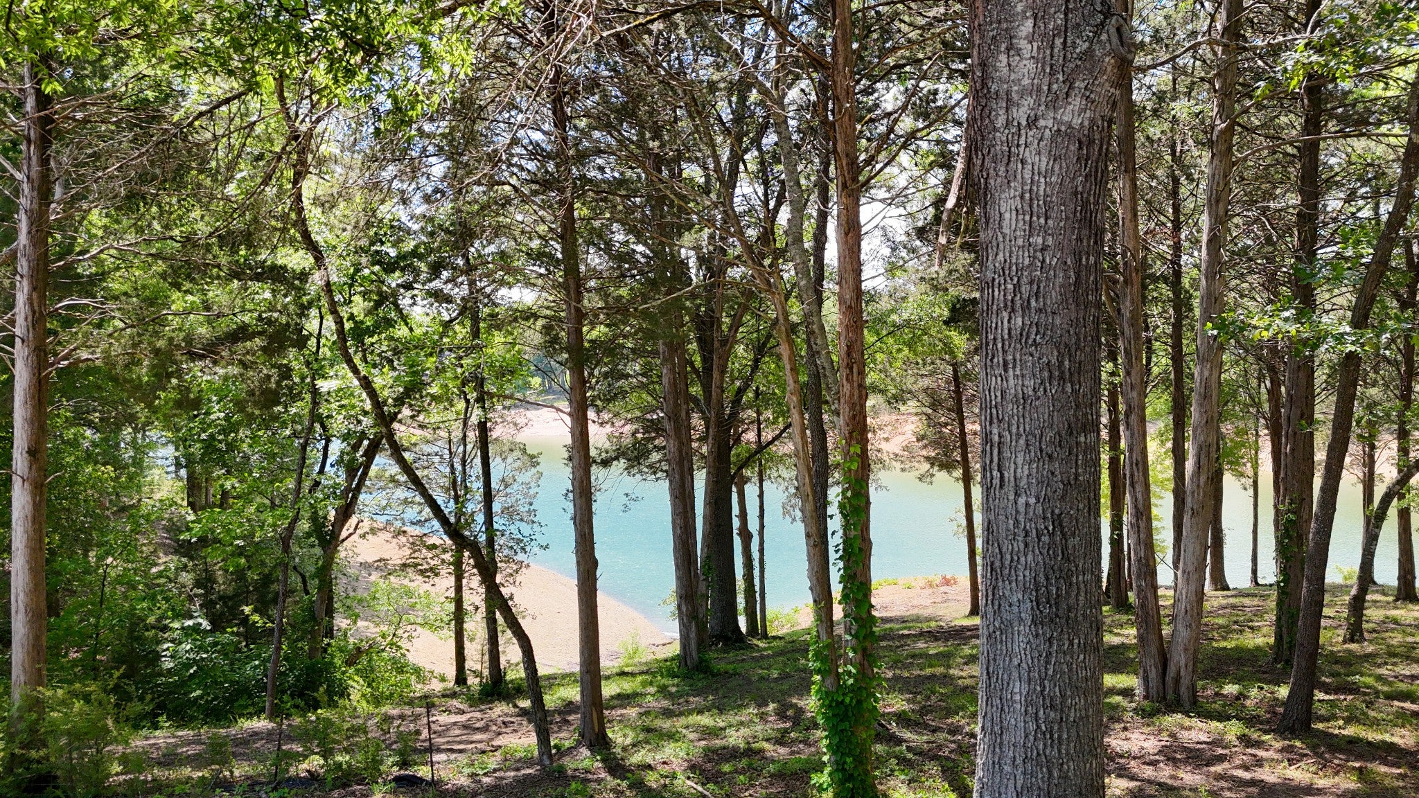 122 Ridge Point Trl