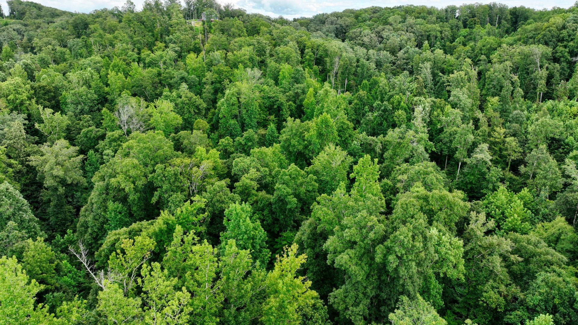 1 Ridge Top Rd