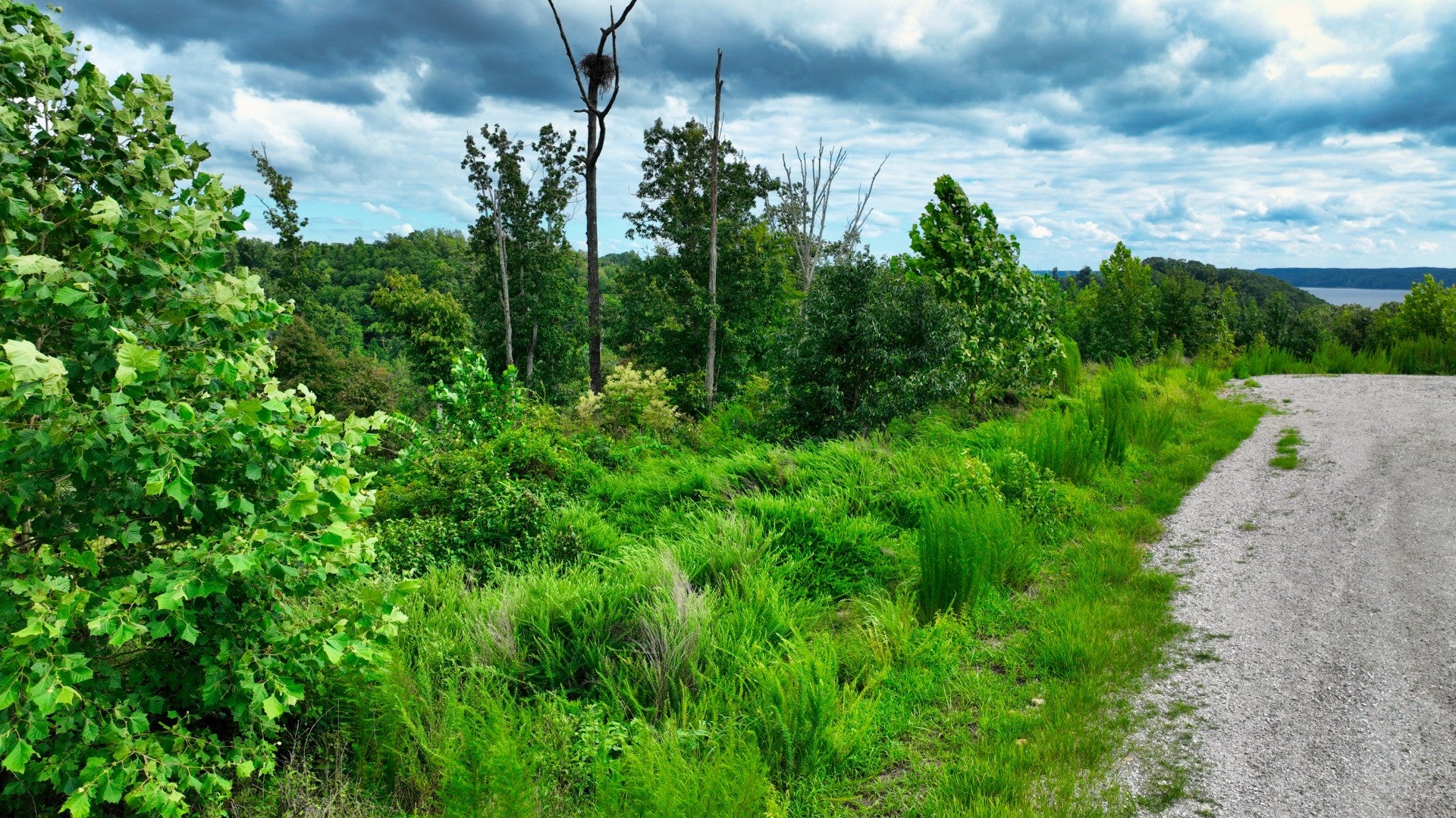 1 Ridge Top Rd