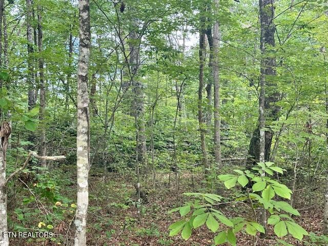 0 Cumberland Lakes Drive