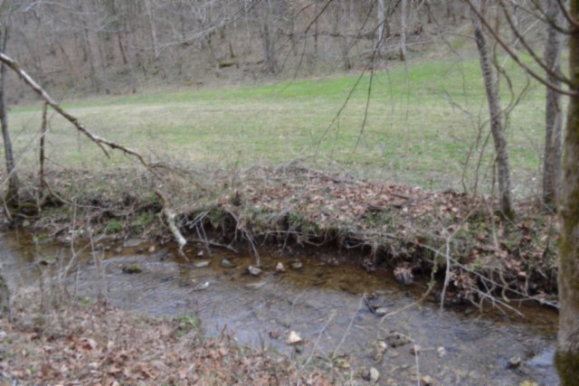 290 Hazel Huffines Ln