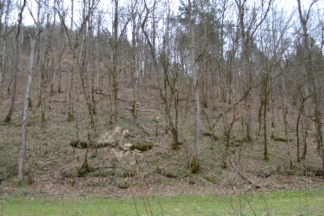 290 Hazel Huffines Ln