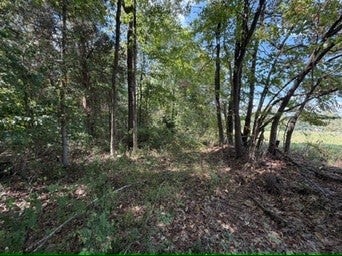 1970 GRAHAM CYPRESS RD, GREENVILLE, KY 42345 - Image 39c8f7e2f55e49a014c77dcc777dedd5/1453462239