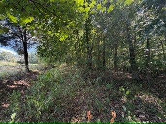 1970 Graham Cypress Rd