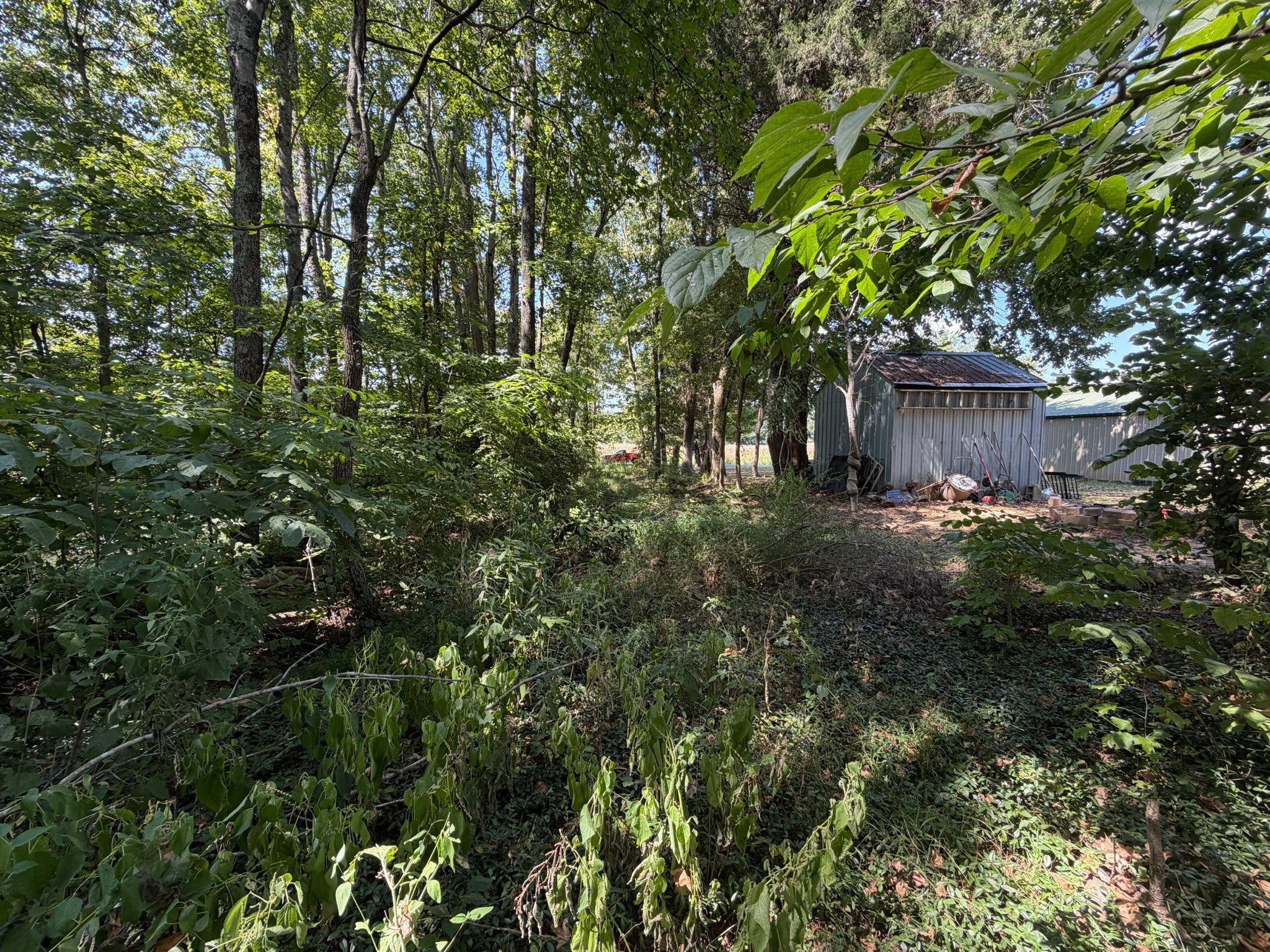 1970 Graham Cypress Rd