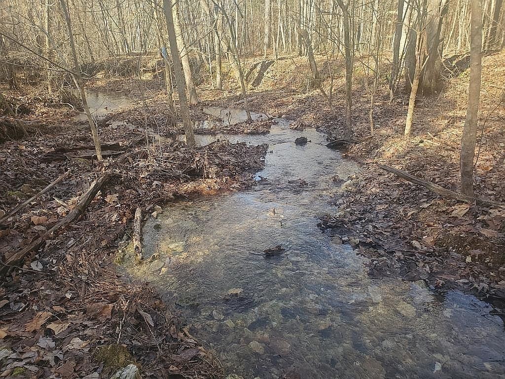 1661 Sassafras Stand Ridge Rd