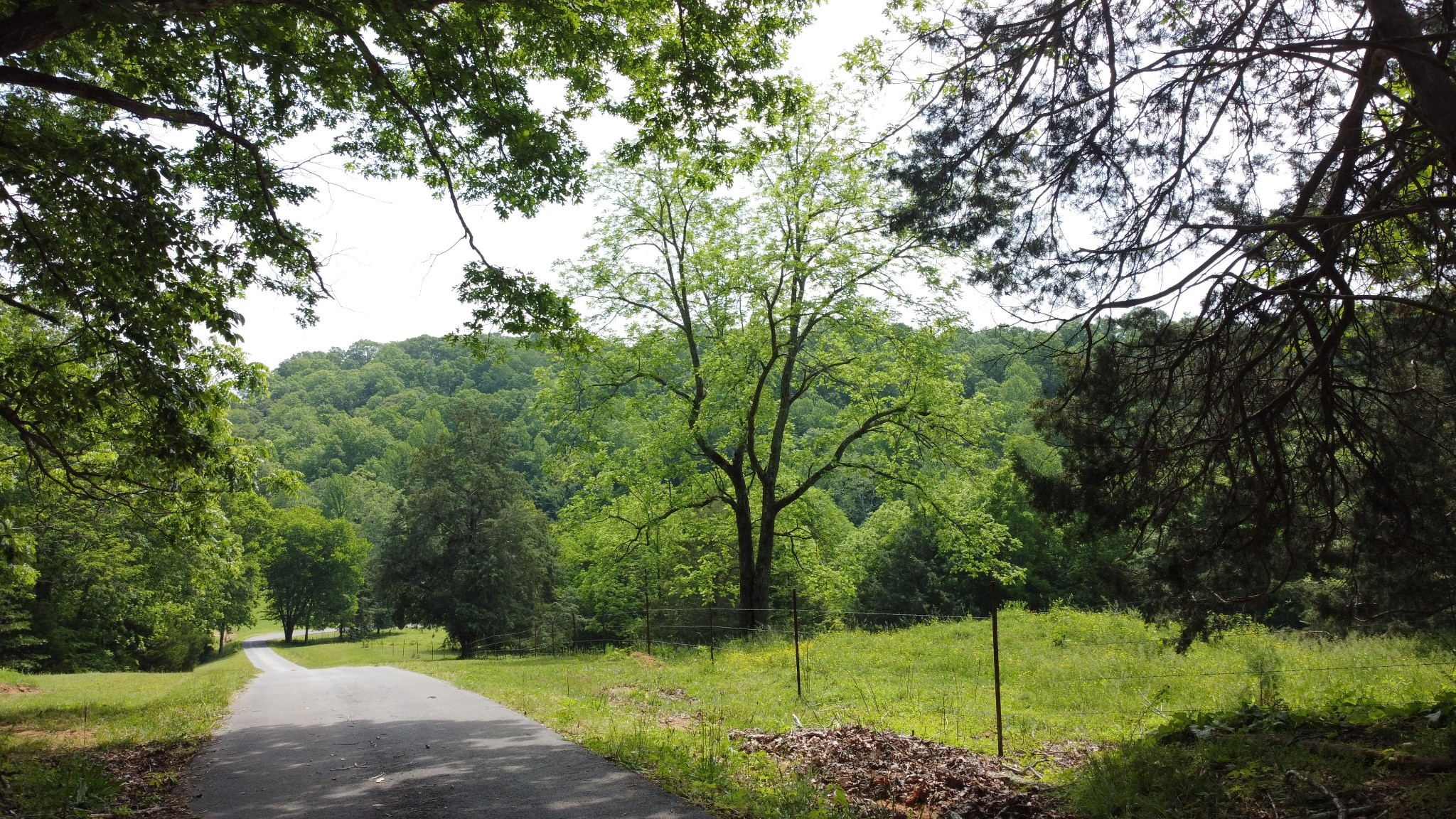 450 Lowe Branch Rd