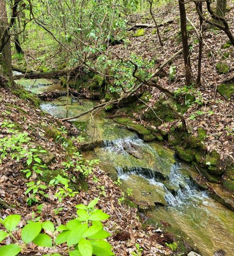 9004 Hondo Loop Crossville TN 38572