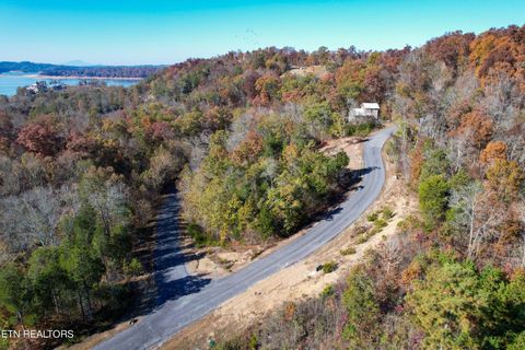 86 Stone Bridge Dandridge TN 37725